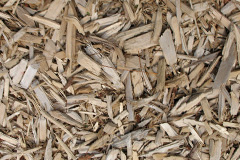 biomass boilers Pinhoe